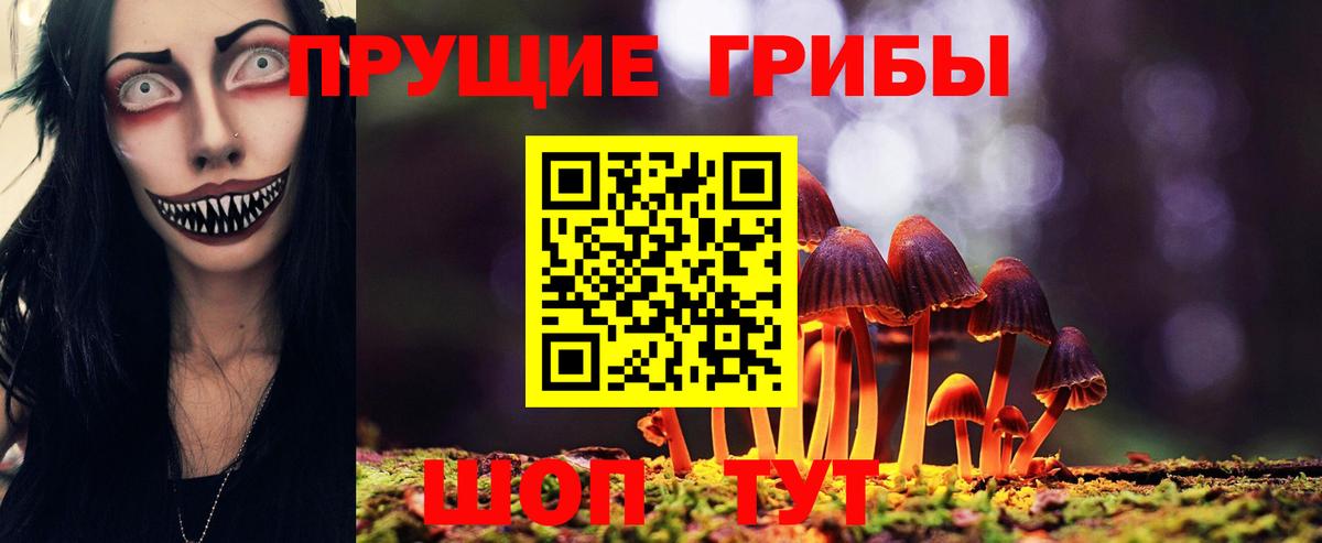 Лангепас  Галлюциногенные грибы Cubensis  Вход с VPN 